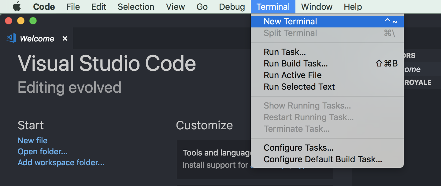 New Terminal Window